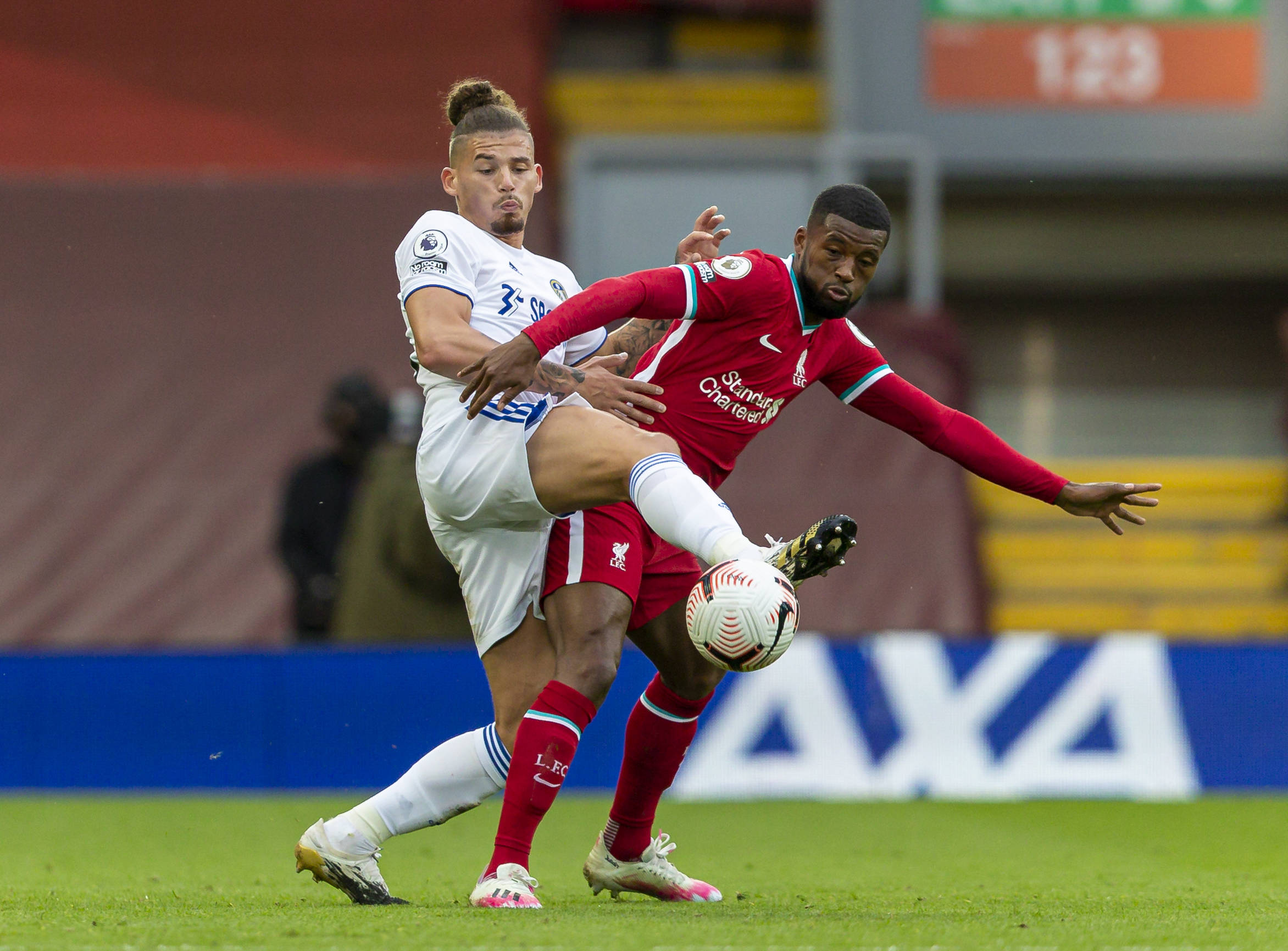 寄生植物带 寄生植物带